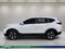 2021 Honda CR-V Special Edition