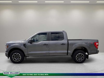 2023 Ford F-150 XL