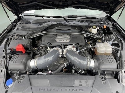 2024 Ford Mustang Dark Horse